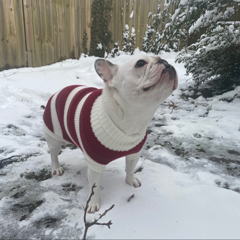 Meet your Posher @all_that_garb